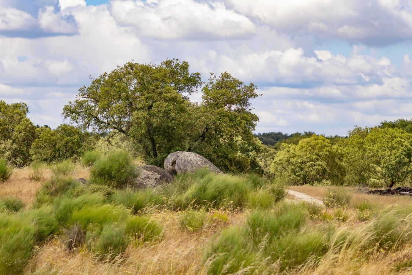 Herdade Do Gamito Crato Esterno foto